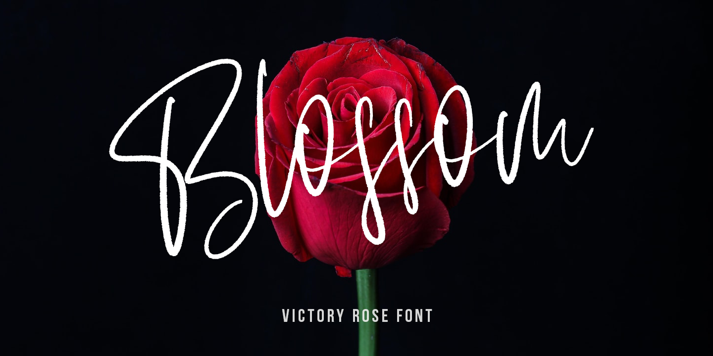 Beispiel einer Victory Rose Regular-Schriftart